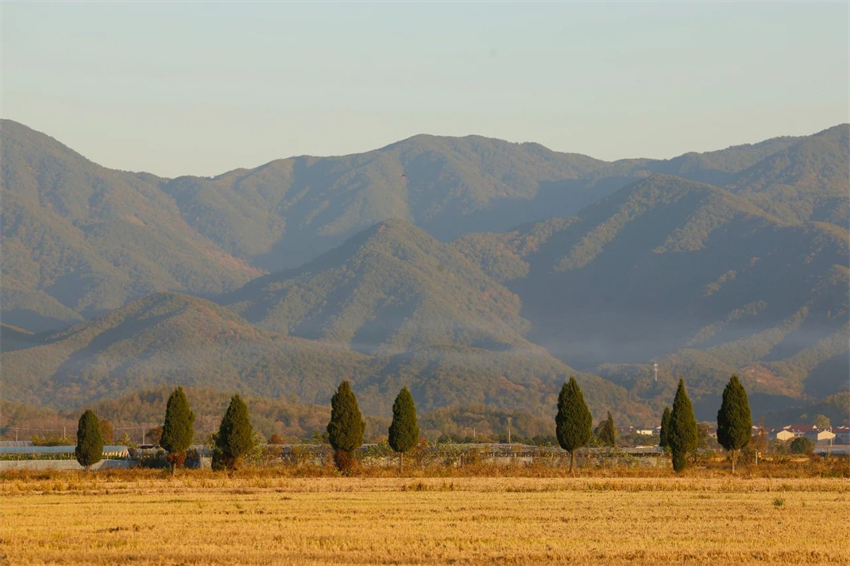 1730787840.jpg 微信圖片_20241105142155.jpg