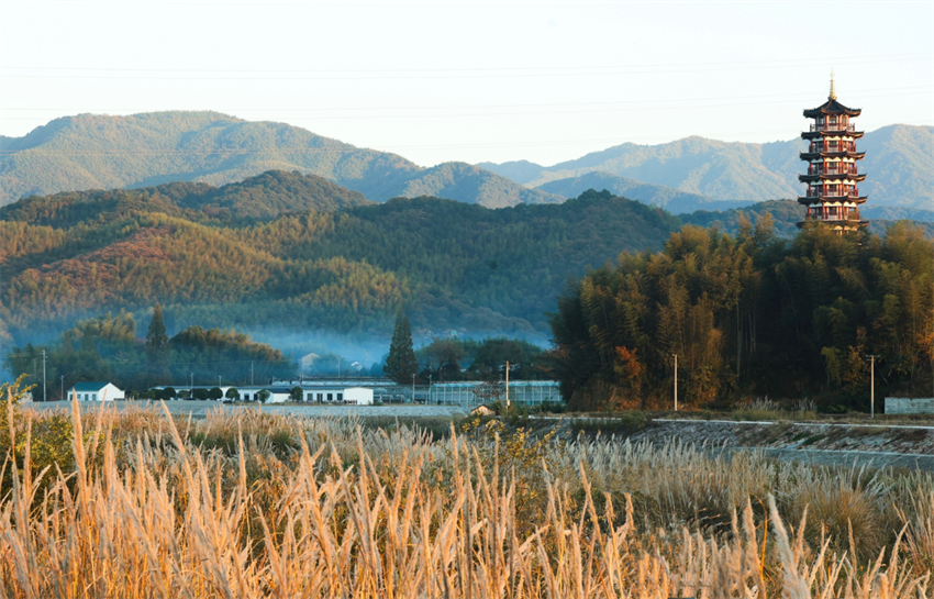 1730787884.png 微信圖片_20241105142201.png